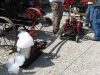 sm_IMG_0515